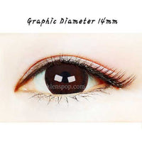 Close-up-Image-of-eye-Scl-Choco-2pcs-6-Months-Colored-Contacts