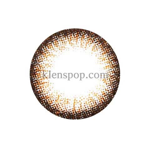 Brown Circle Toric (2Pcs) 6 Months Colored Contacts Sph -1.00 ~ -10.00 Cyl -0.75~-1.75 Ax 180