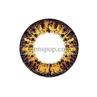 Main-Image-Scl-Secret-Brown-2pcs-Months-Colored-Contacts