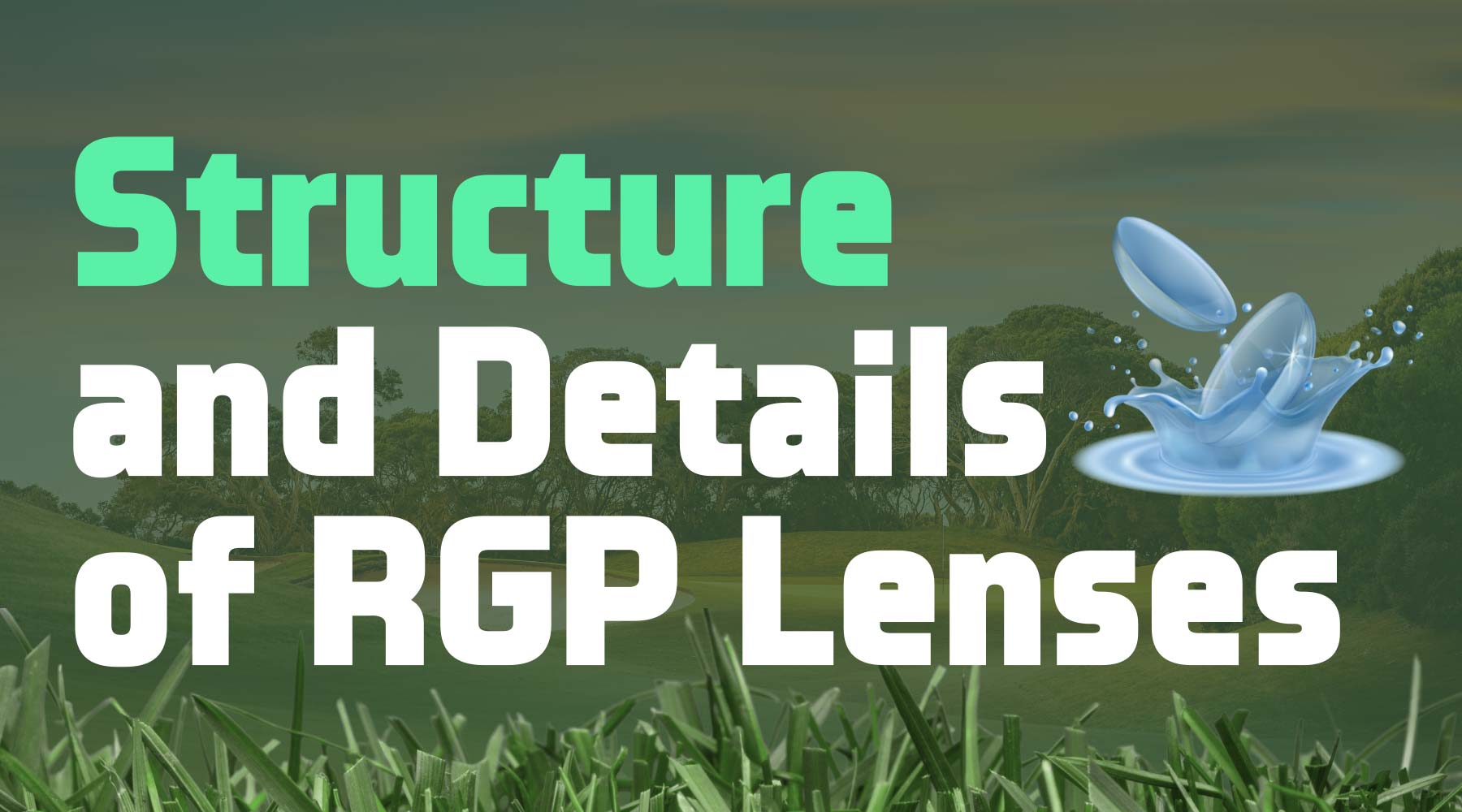 🧐 The Structure and Details of RGP Lenses