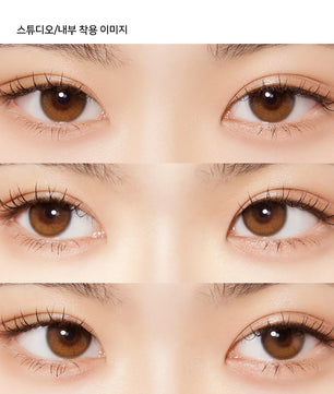 Daymood 1Day Brown (10pcs) Daily MPC LENS - product details
