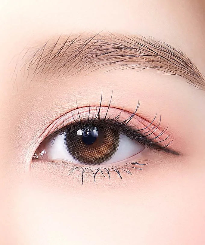 Daymood Brown (2pcs) Monthly MPC LENS - product image