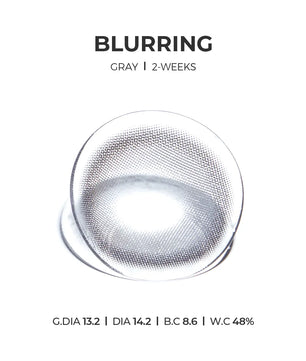 Blurring Gray (2pcs) Monthly MPC LENS - product details