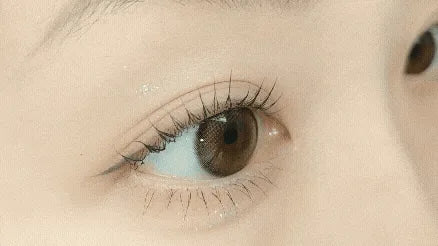 Muering Mocha Brown (2pcs) Monthly (Silicone Hydrogel) - product details