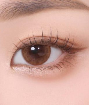 Bausch+Lomb Lacelle Merry Mocha 30pcs (Daily)