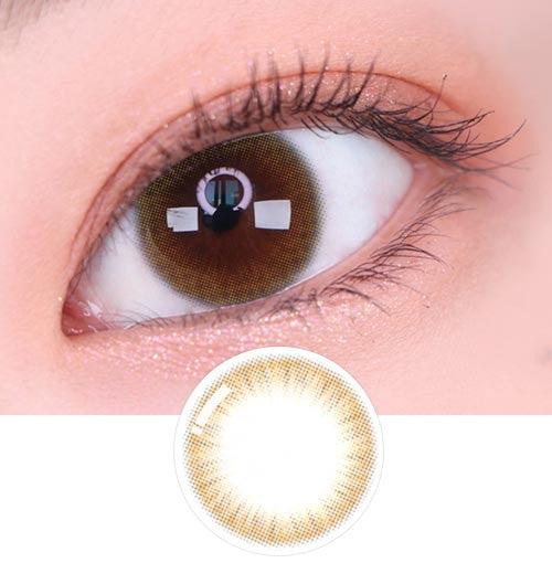 Siodaily Brown (Classi) (2Pcs) 6 Months (Silicone Hydrogel)