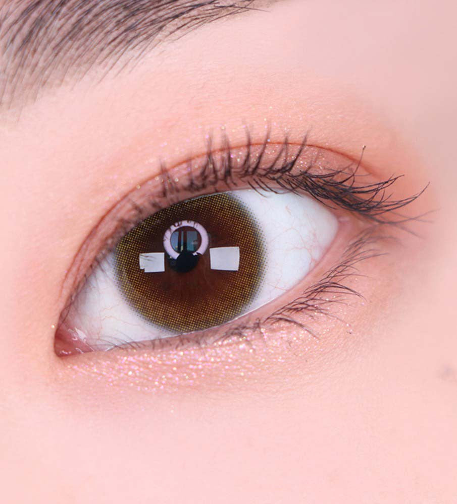 Siodaily Brown (Classi) (2Pcs) 6 Months (Silicone Hydrogel)