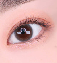 Siodaily Grey (Classi) (2Pcs) 6 Months (Silicone Hydrogel)