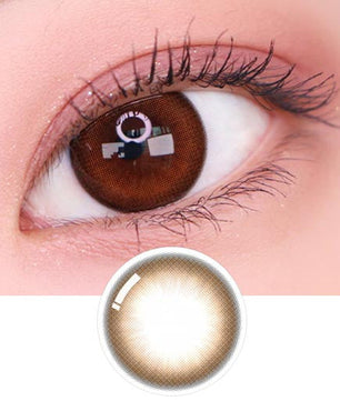 Artring Brown (Classi) (2Pcs) 6 Months (Silicone Hydrogel)