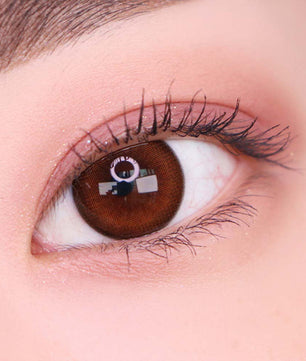 Artring Brown (Classi) (2Pcs) 6 Months (Silicone Hydrogel)