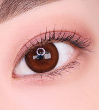 Artring Brown (Classi) (2Pcs) 6 Months (Silicone Hydrogel)