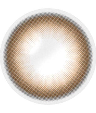 Artring Brown (Classi) (2Pcs) 6 Months (Silicone Hydrogel)