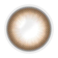 Artring Brown (Classi) (2Pcs) 6 Months (Silicone Hydrogel)