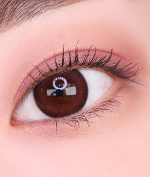 Artring Choco (Classi) (2Pcs) 6 Months (Silicone Hydrogel)