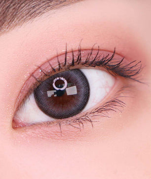 Artring Grey (Classi) (2Pcs) 6 Months (Silicone Hydrogel)