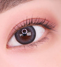 Artring Grey (Classi) (2Pcs) 6 Months (Silicone Hydrogel)