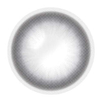 Artring Grey (Classi) (2Pcs) 6 Months (Silicone Hydrogel)