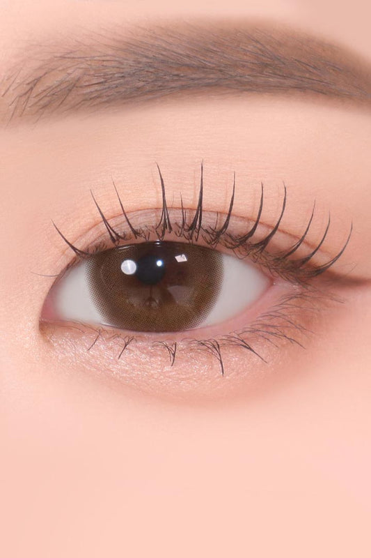 Classi Witty Mocha (2pcs) Monthly (Silicone Hydrogel) Colored Contacts
