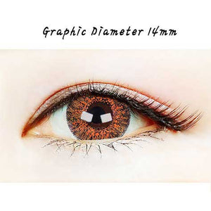 Close-up-Image-of-an-eye-wearing-Ashley-S-Deep-Brown-Colored-Contacts-2Pcs-6-Months