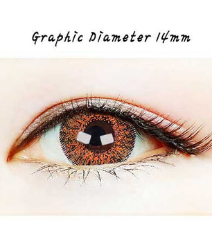 Close-up-Image-of-an-eye-wearing-Ashley-S-Deep-Brown-Colored-Contacts-2Pcs-6-Months