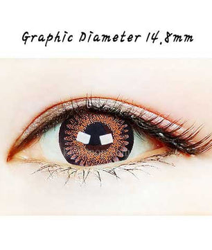 Bambi Brown (2Pcs) 6 Months Colored Contacts