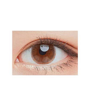 Close-up-Image-of-eye-About-Brown-Vb-1-Monthly-2Pcs-Colored-Contacts