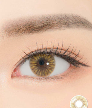Close-up-Image-of-eye-Ailleen-Brown-2pcs-Monthly-Colored-Contacts