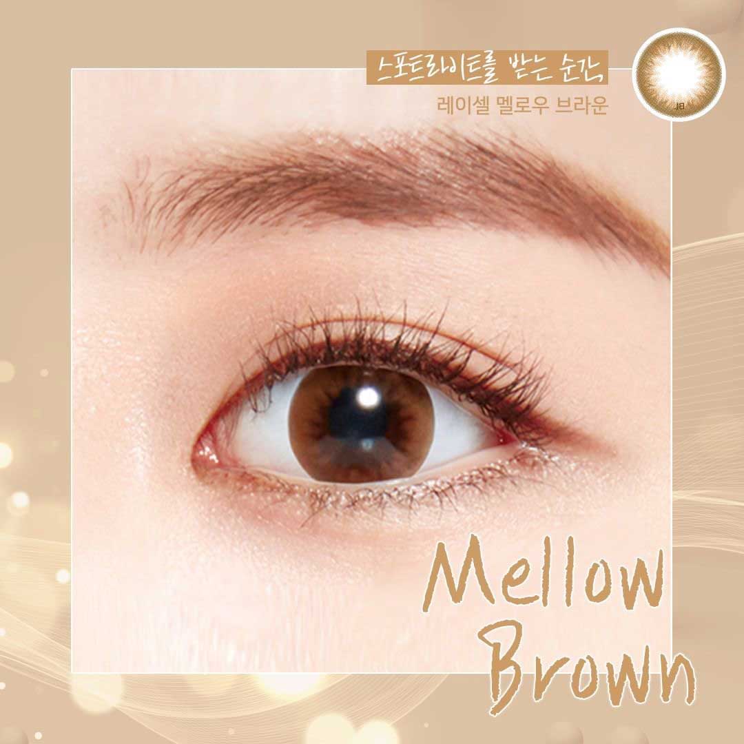 Close-up-Image-of-eye-Bausch-And-Lomb-Lacelle-30pcs-Daily-Mellow-Brown-Colored-Contacts