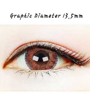 Close-up-Image-of-eye-Dali-3color-Brown-2Pcs-6Months-Colored-Contacts