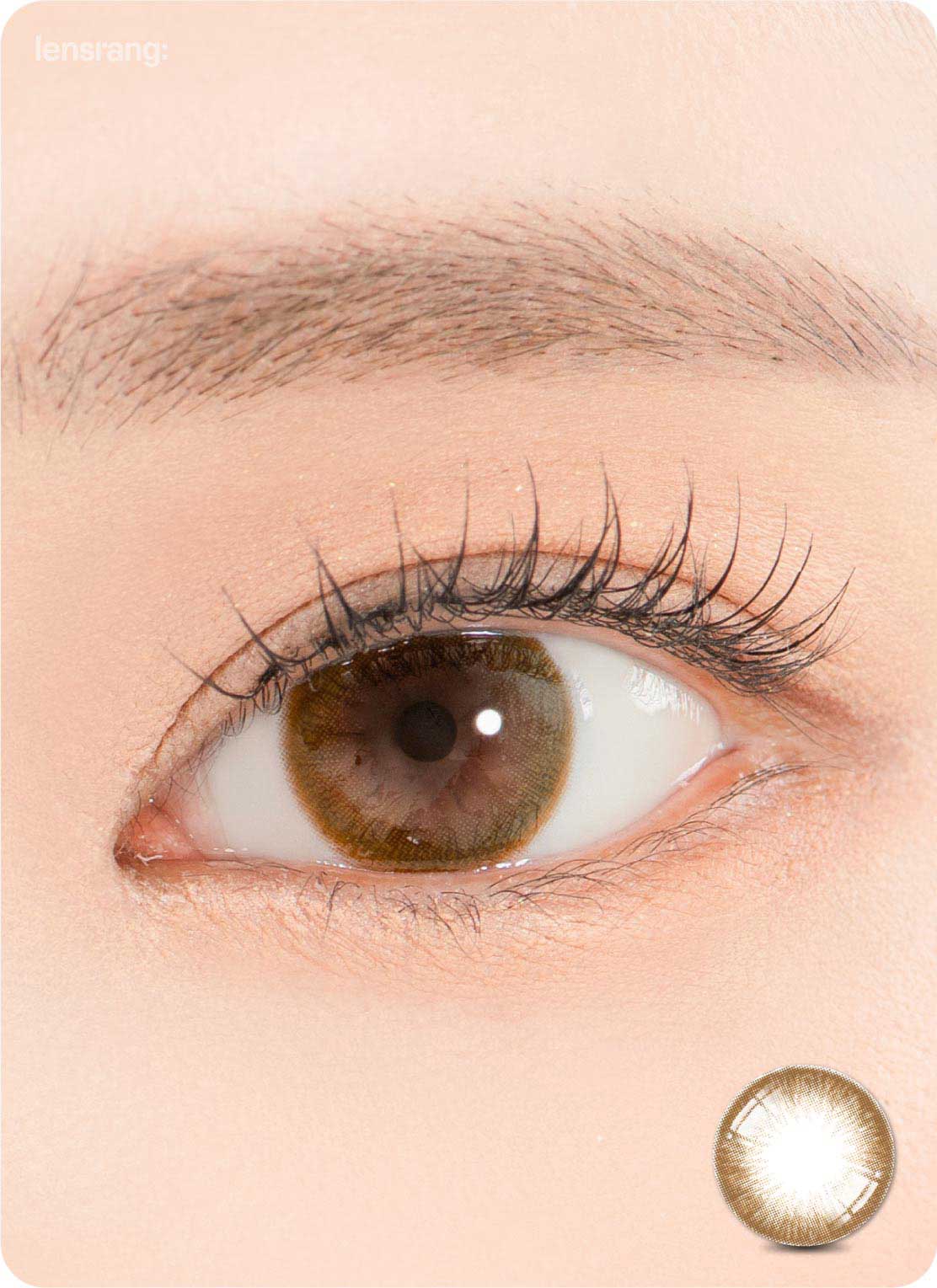 Close-up-Image-of-eye-Iwwiny-Brown-2pcs-Monthly-Colored-Contacts