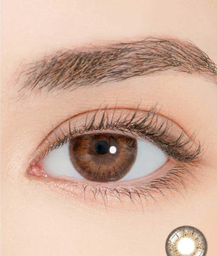Close-up-Image-of-eye-Puella-Brown-2pcs-Monthly-Colored-Contacts
