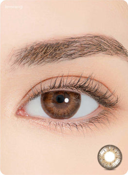 Close-up-Image-of-eye-Puella-Brown-2pcs-Monthly-Colored-Contacts