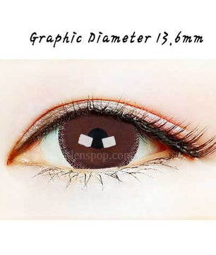Close-up-Image-of-eye-Sharon-Choco-2pcs-6-Months-Colored-Contacts