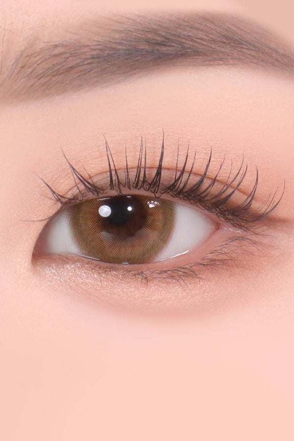 Color Pick Ardor Brown (10pcs) (Silicone Hydrogel) Daily Colored Contacts