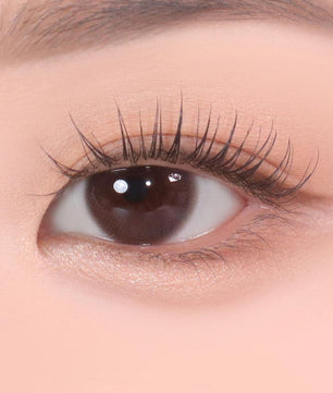 Color Pick Solid Choco (10pcs) (Silicone Hydrogel) Daily Colored Contacts