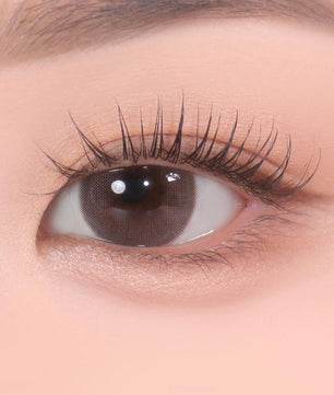 Color Pick Toned Ash Choco (10pcs) (Silicone Hydrogel) Daily Colored Contacts