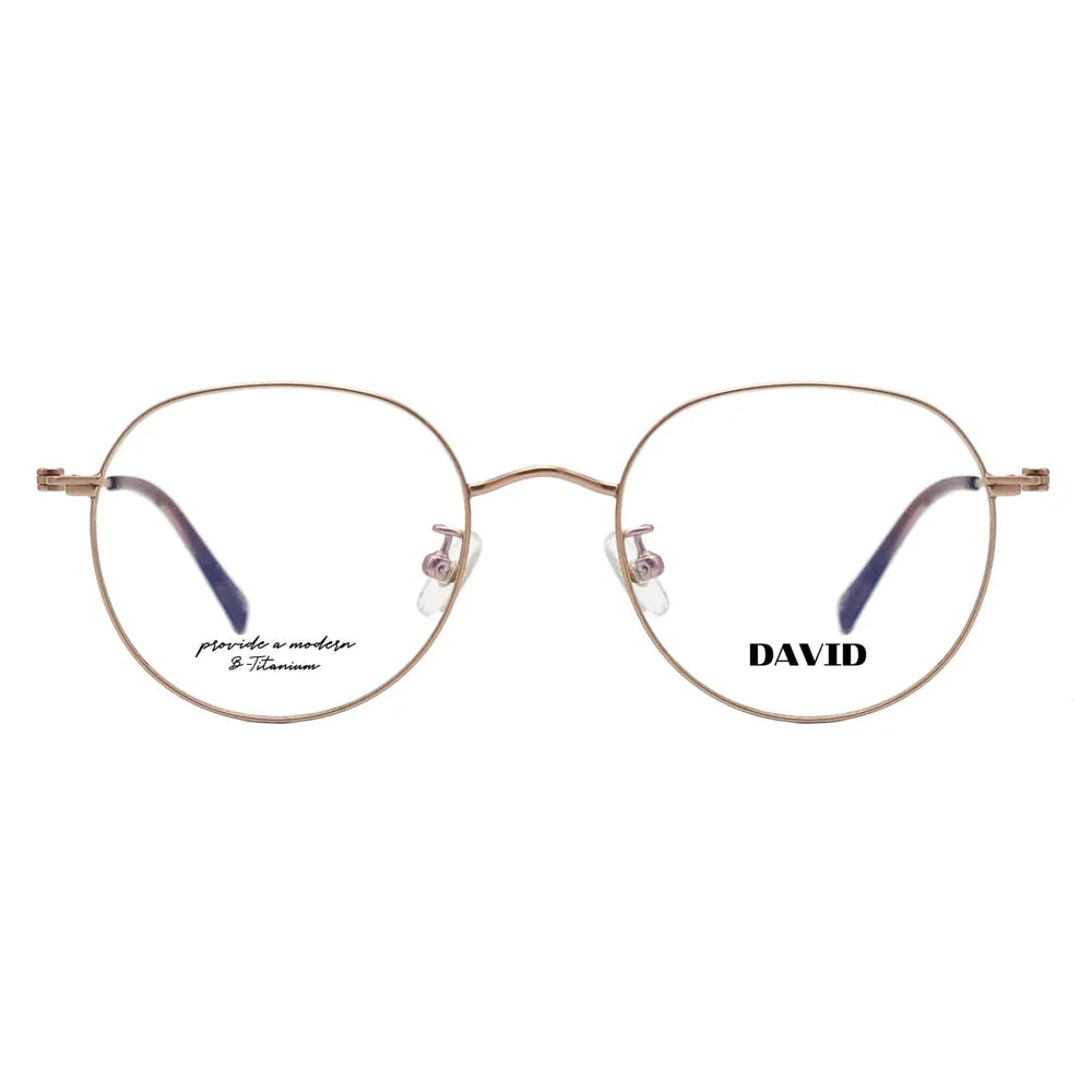 DT-1001 glasses front view