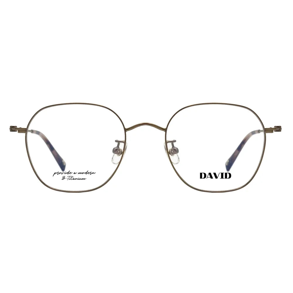 DT-1004 glasses front view