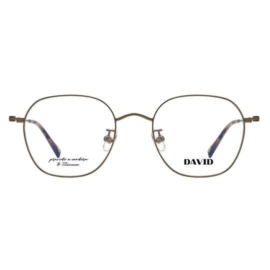 DT-1004 Glasses (Titanium) (51size) 51□19 145