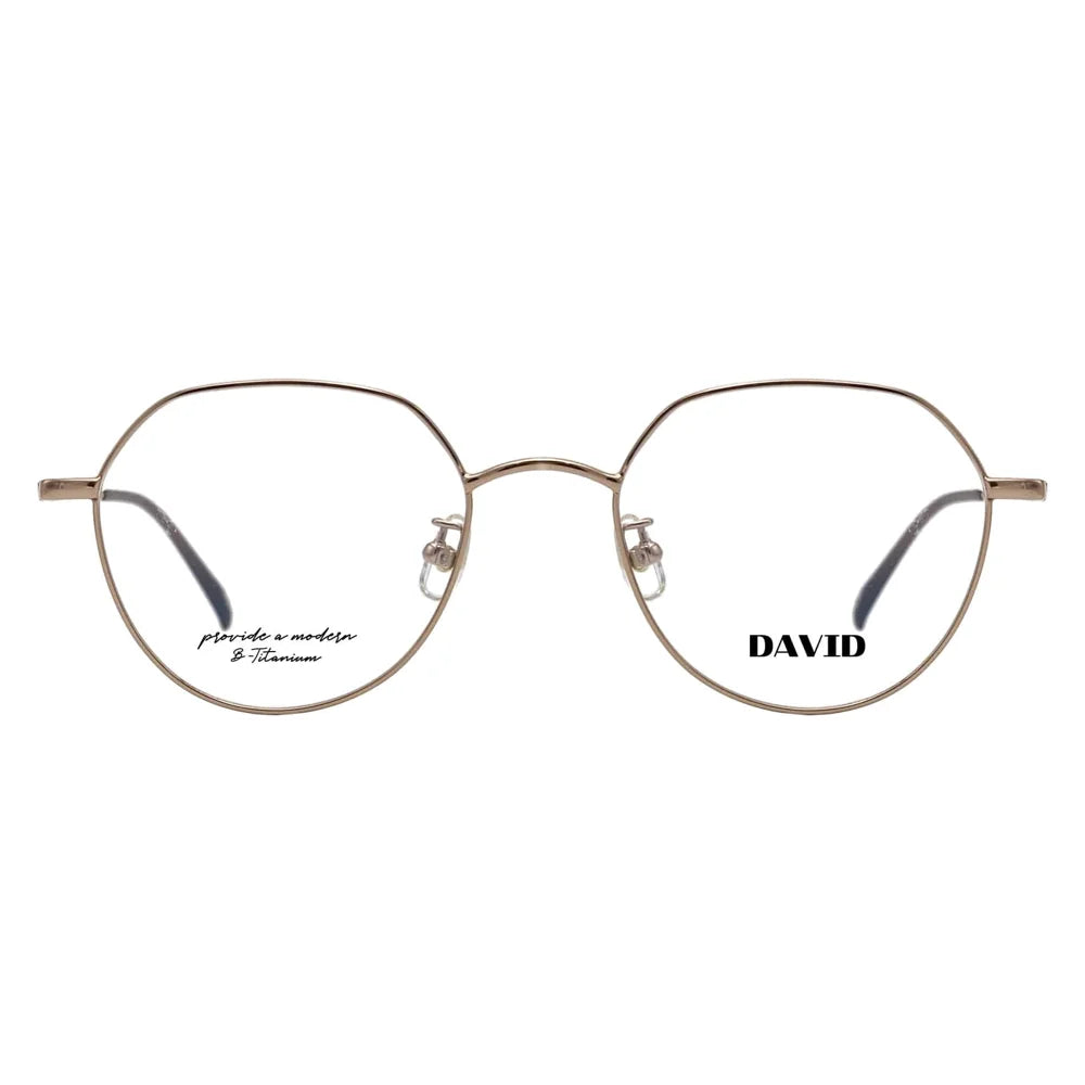 DT-1009 glasses front view