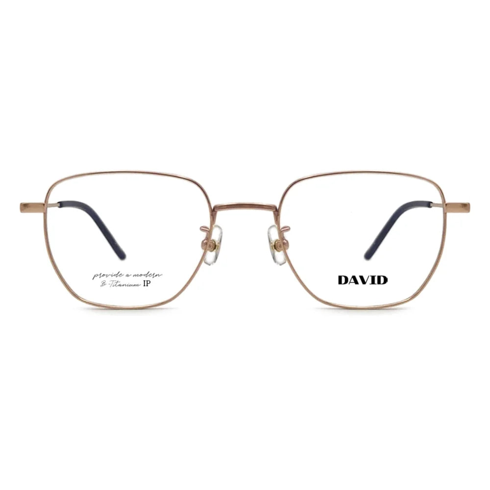 DT-1019 glasses front view