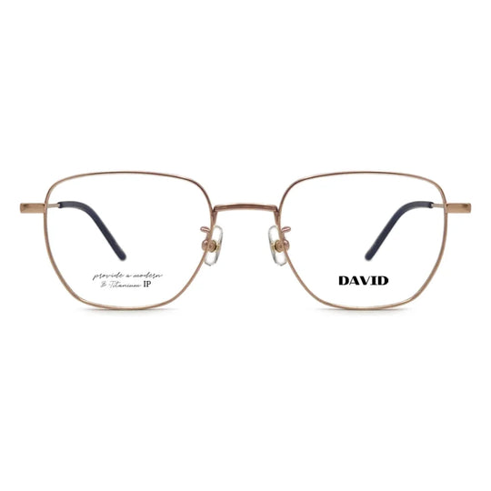 DT-1019 Glasses (Titanium) (53size) 53□20 150