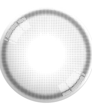 Day Ring 1Day Grey (10pcs) Colored Contacts