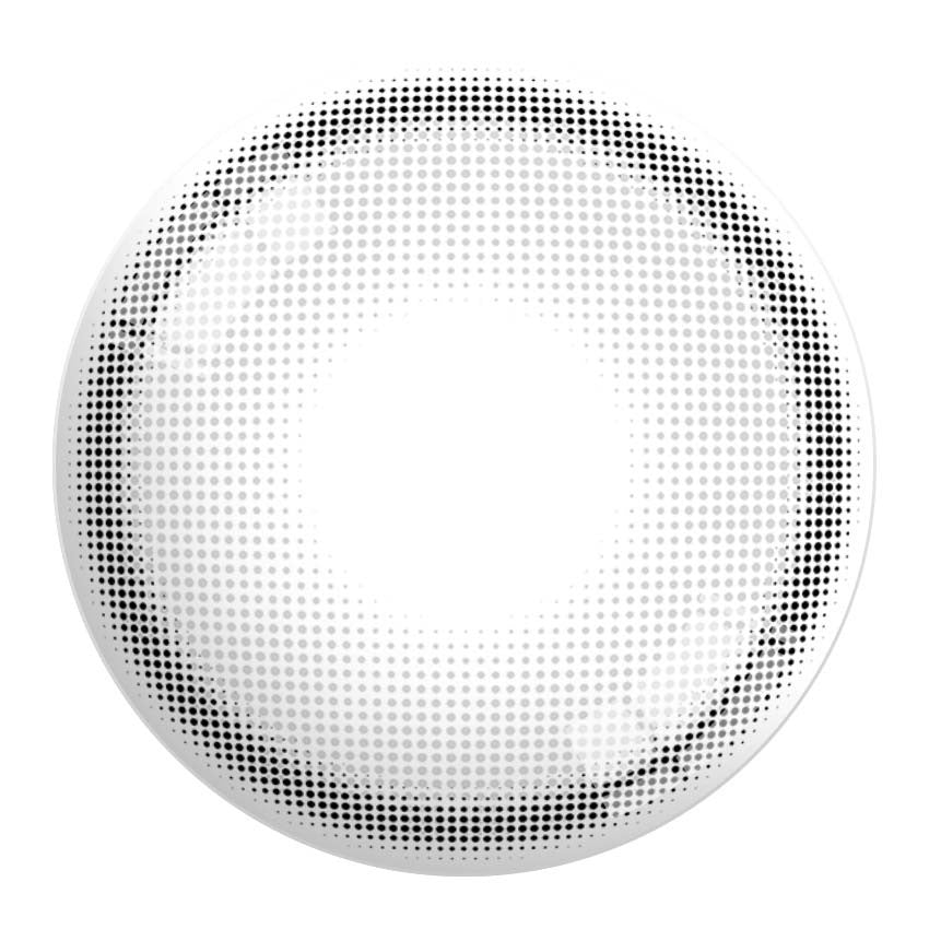 Day Ring 1Day Grey (10pcs) Colored Contacts