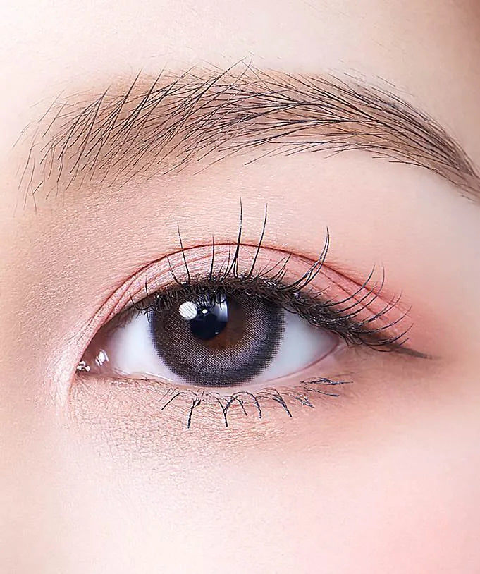 Daymood Gray (2pcs) Monthly MPC LENS - product image