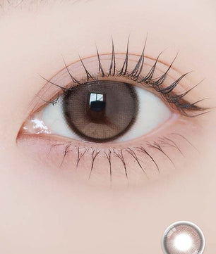 Mui Brown (2pcs) Monthly ( Buy  1 Get 1 Free )