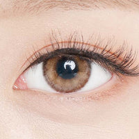 Heimish Brown (2pcs) Monthly ( Buy 1 Get 1 Free )
