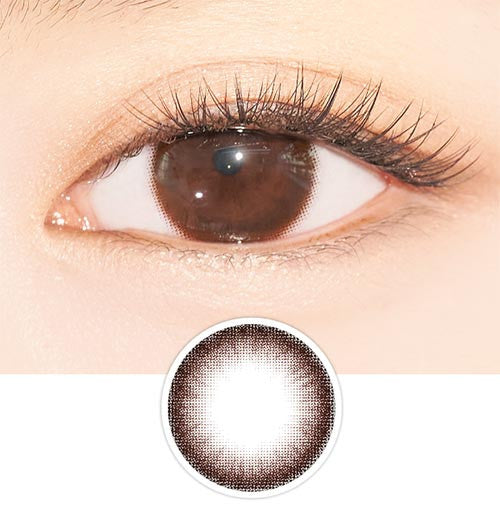 Just 1Day Choco (10pcs) Colored Contacts