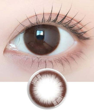 Just Max Choco (2pcs) Monthly Colored Contacts