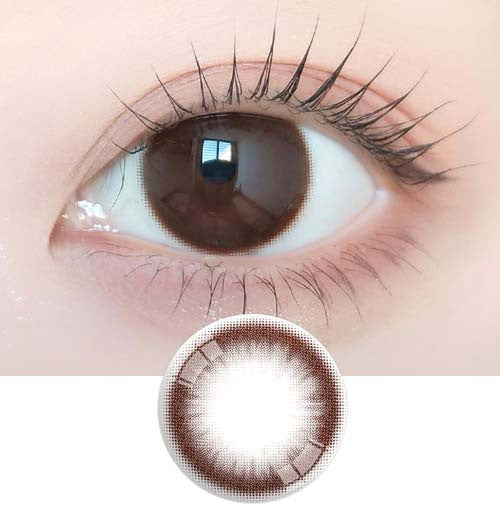 Just Max Choco (2pcs) Monthly Colored Contacts